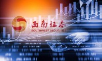 西南证券部(西南证券部门)