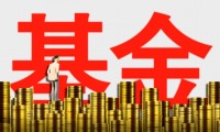 微基金(微基金捐赠款怎么入账)