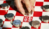 开放基金(交易性开放式基金)