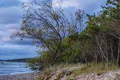 【央行：人民币汇率预计将继续双向浮动，保持弹性】人民银行新闻发言人、副行长邹澜1月15日在国新办新闻发布会上表示，总体看人民币汇率是稳健的。影响汇率的因素是非常多元的，比如经济增长、货币政策、金融市场、地缘政治突发的风险事件等等。中国具有超大规模的市场和完整产业链，科技创新和产业创新加速融...