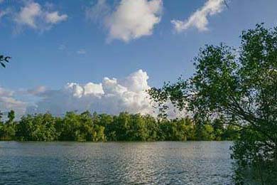 未来的支付会有数字货币吗？外贸支付流程及数字货币发展趋势解析