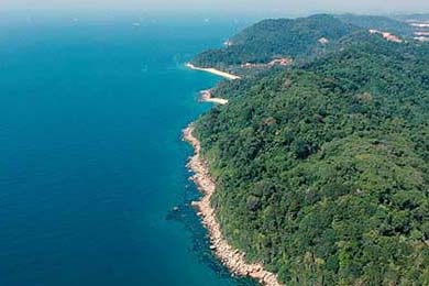 数字孪生建模公司有哪些