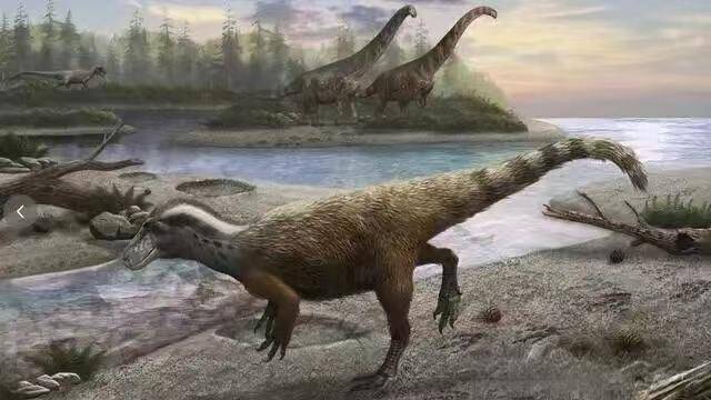 时速仅1公里!张家口宣化发现全球罕见慢速恐龙行迹