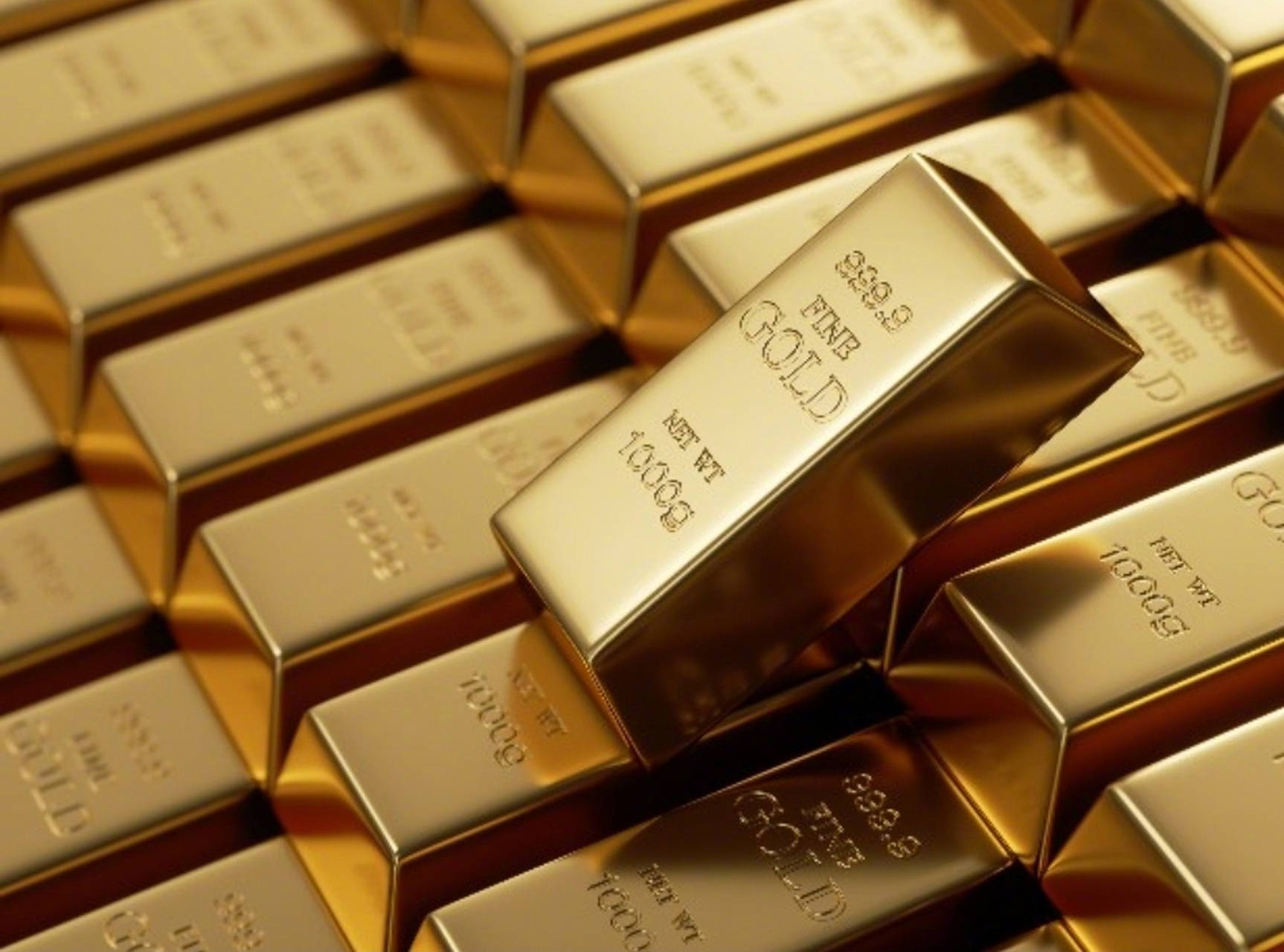 普金证券(普金公司是什么公司)