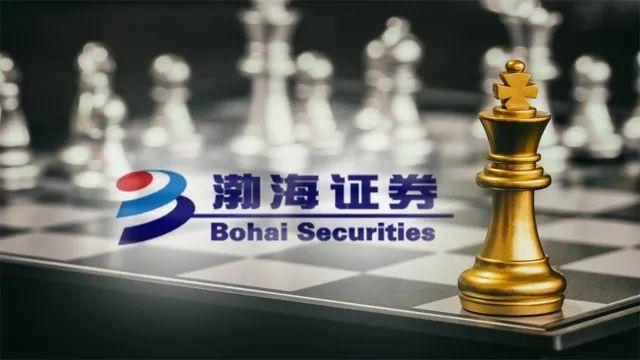 渤海证券天津(渤海证券天津水上公园东路)