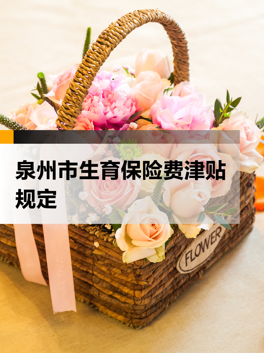 生育基金(生育基金多少钱)