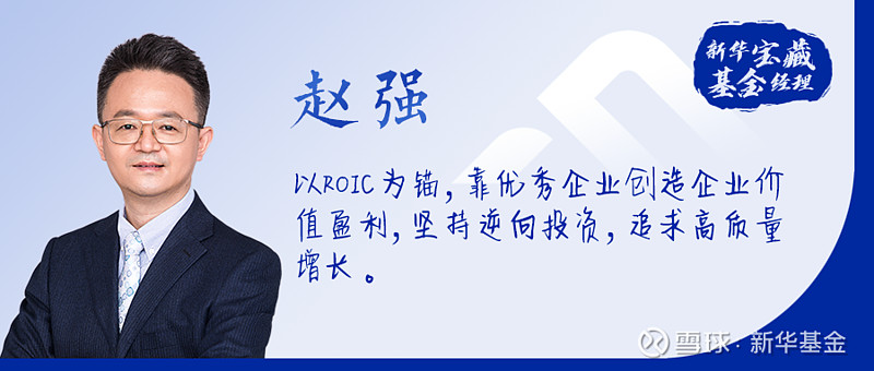 新华策略精选基金001040(新华策略精选基金001040投资什么板块)